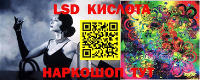 стафф Бугуруслан