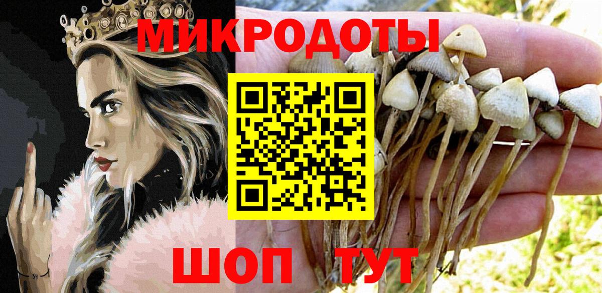 Псилоцибиновые грибы прущие грибы  Вход с VPN  Галлюциногенные грибы Psilocybe  Сертолово 