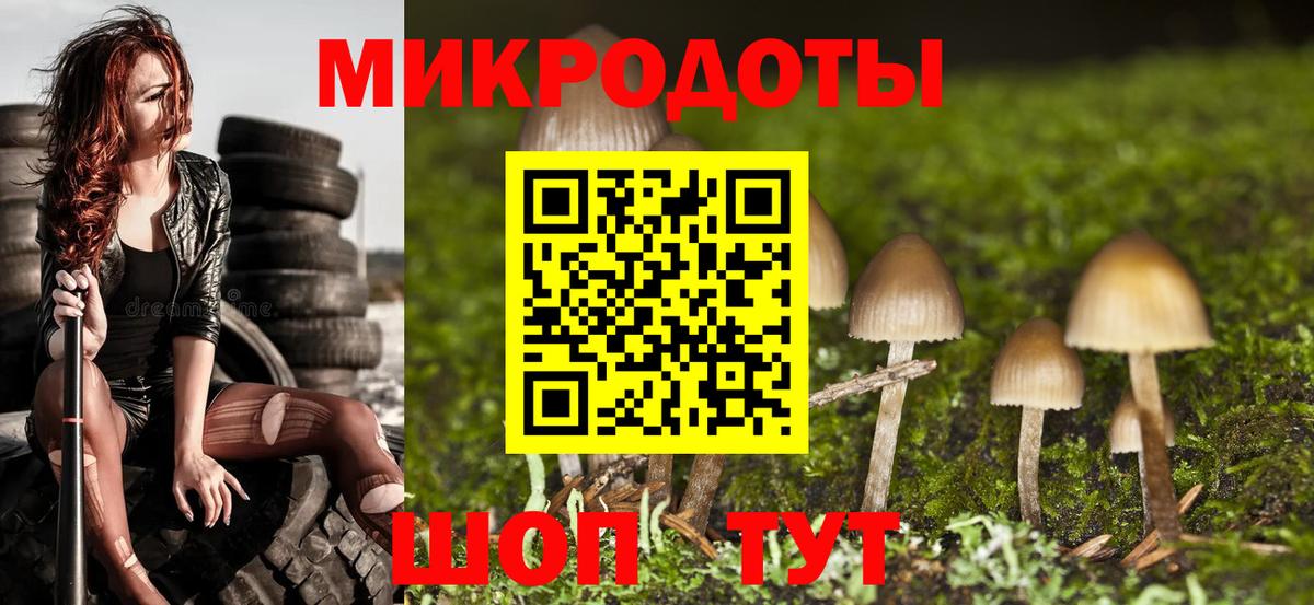 Галлюциногенные грибы Psilocybe Сертолово